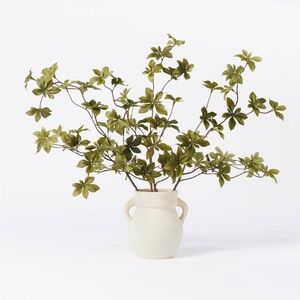 ISO THRESHOLD X STUDIO MCGEE GYPSOPHILA LEAF ARRANGEMENT